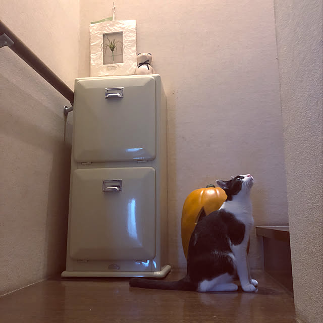 chokku23さんの実例写真