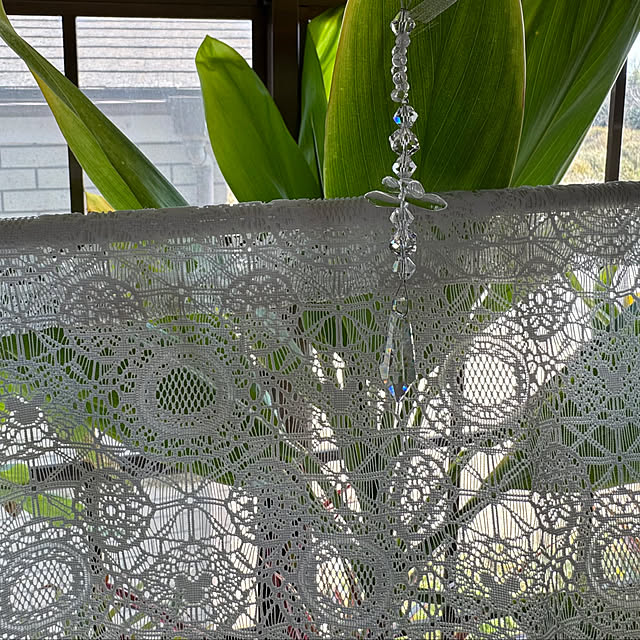 kimiさんの実例写真