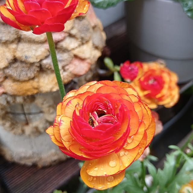 tomomiさんの部屋