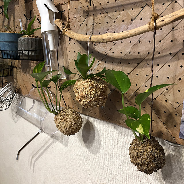 CoffeeHouseさんの実例写真
