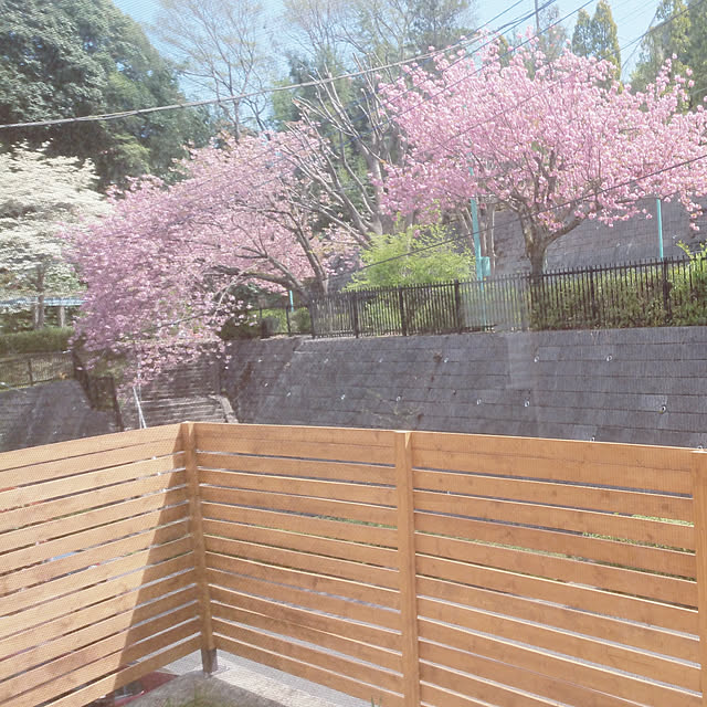 部屋全体のインテリア実例 - 2018-04-18 14:58:02