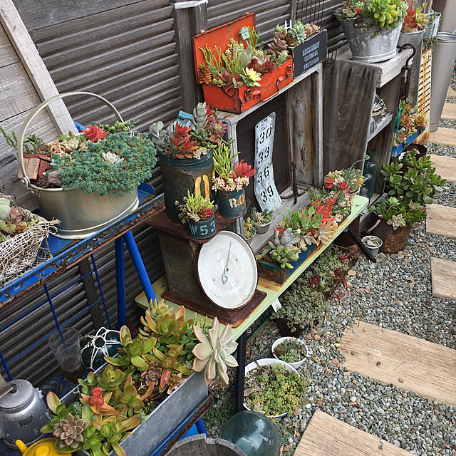 furu.さんの実例写真