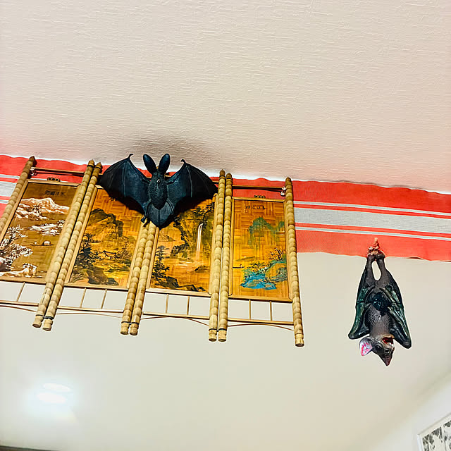 takakuzenさんの実例写真