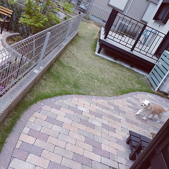 merokoさんの実例写真