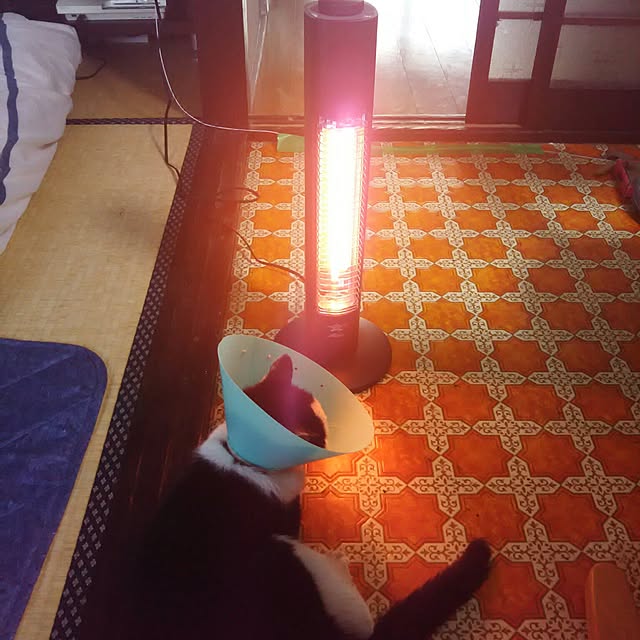 HANIWaさんの実例写真