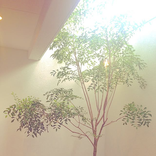 uchizukuriさんの実例写真