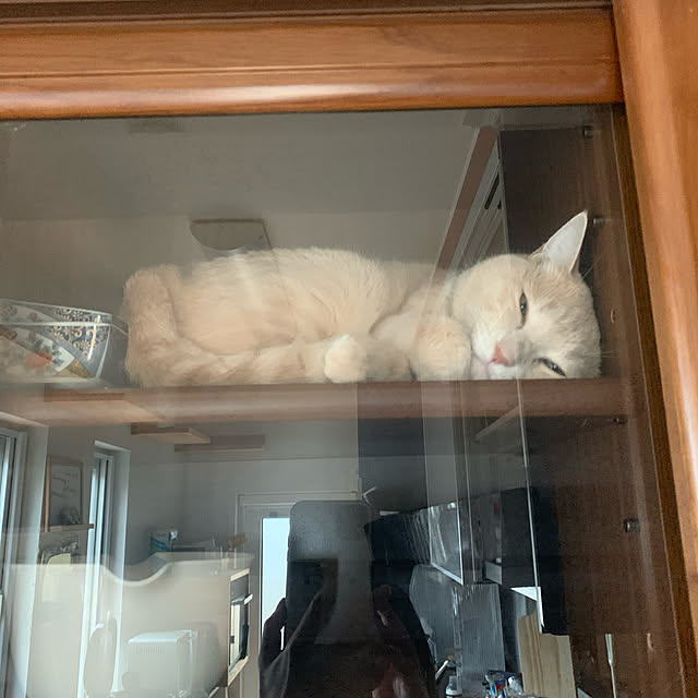la_franceloveさんの実例写真