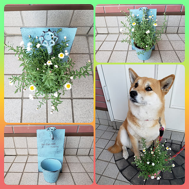 nanaさんの実例写真