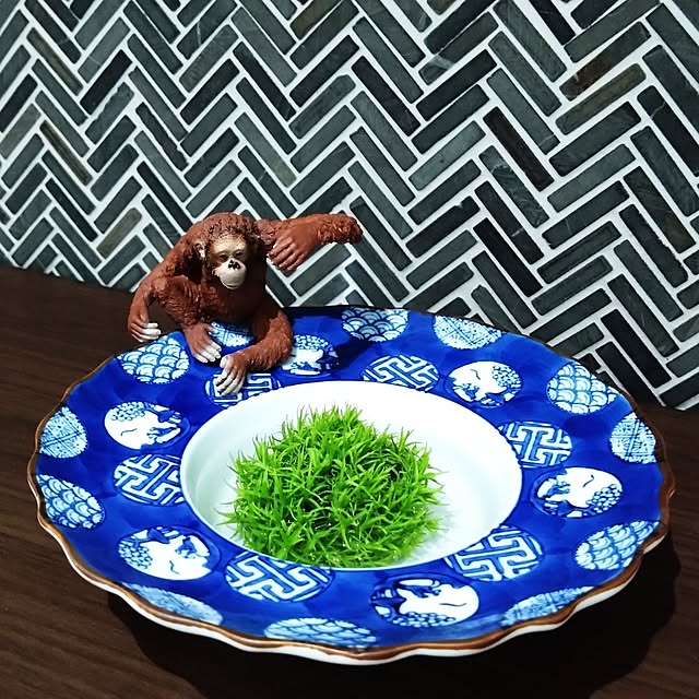 MIPORINNさんの実例写真