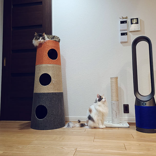 akiko6193さんの実例写真