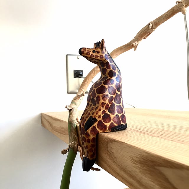 temtasobiさんの実例写真