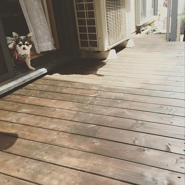 pasapastrustさんの実例写真