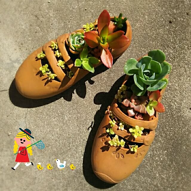 Tillandsiaさんの実例写真