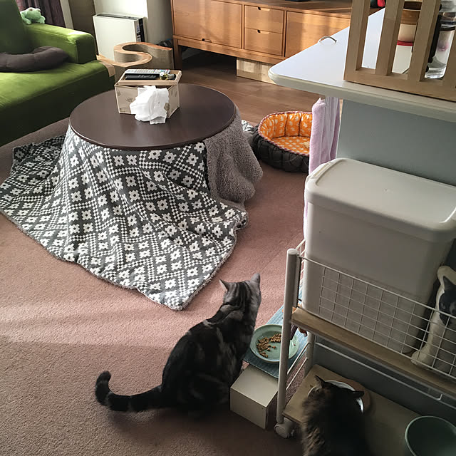 mikomaruさんの実例写真