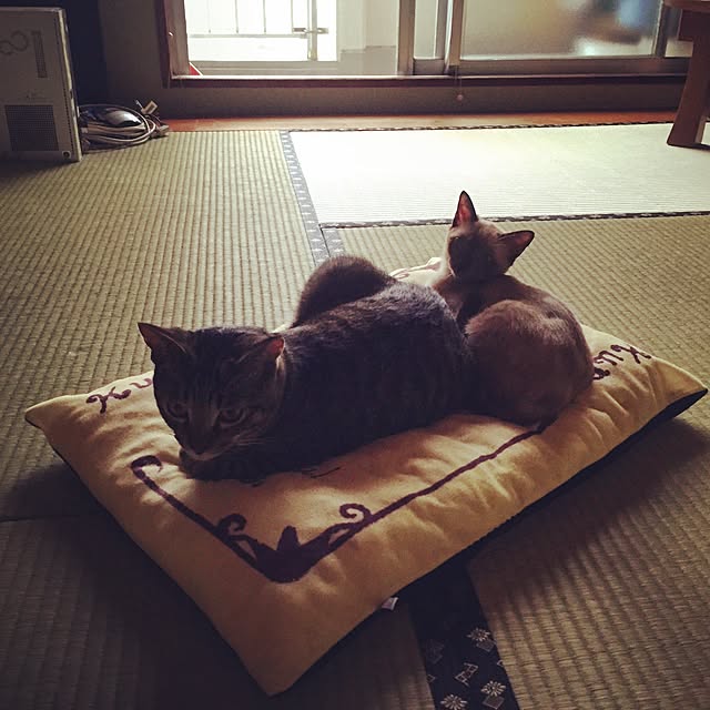 kayakoさんの実例写真