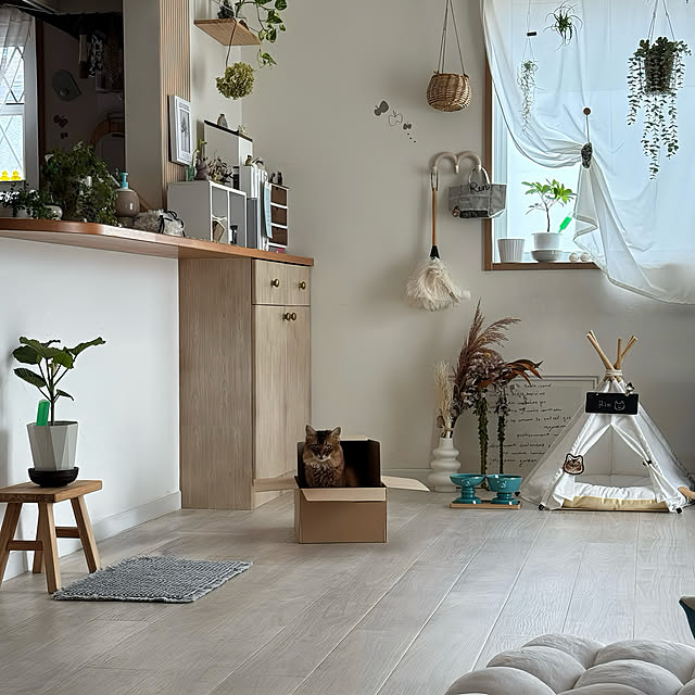 yuri.sさんの部屋