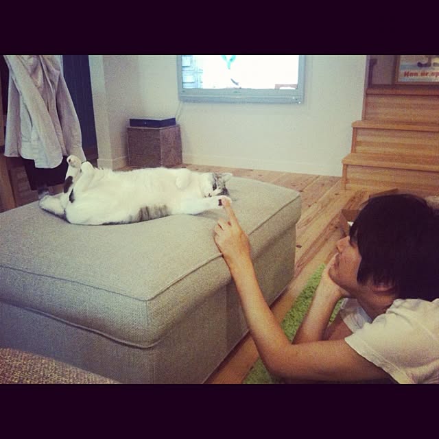 Tomo3さんの実例写真