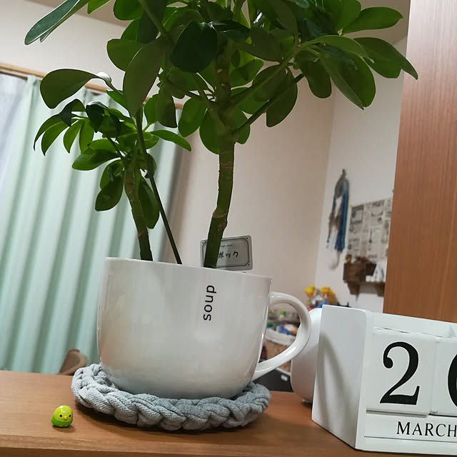 akanegumoさんの実例写真