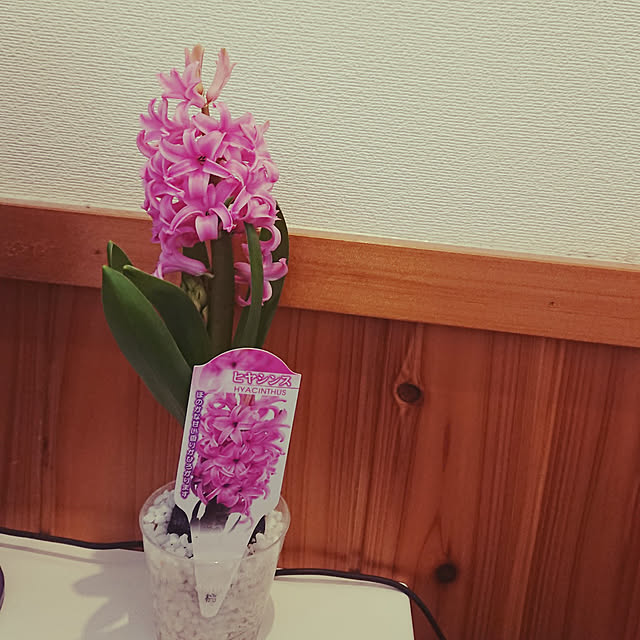 nakayou52さんの実例写真