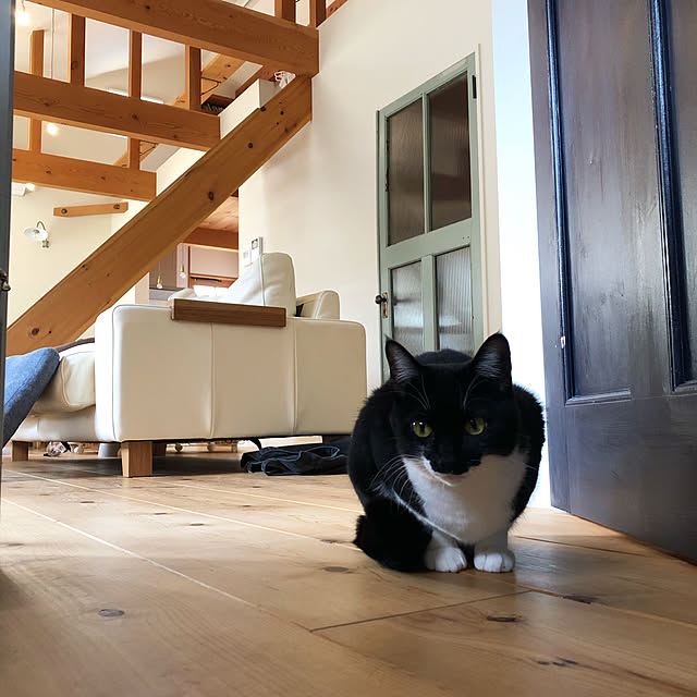 blanchomeさんの実例写真