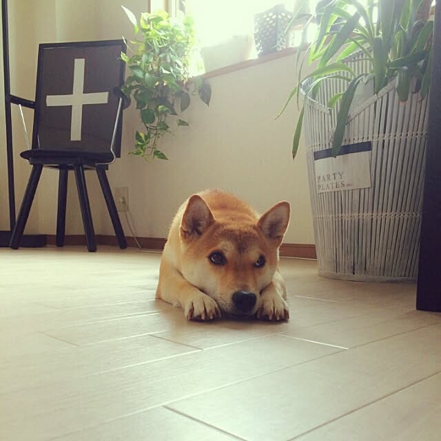 kさんの実例写真