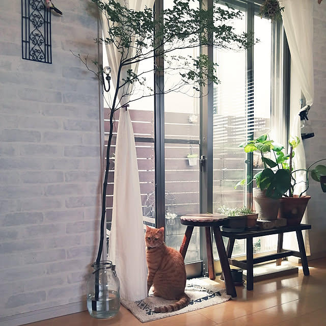 Risaさんの実例写真