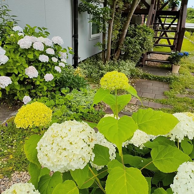ai.happyplaceさんの部屋