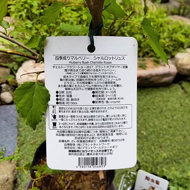 faunさんの部屋