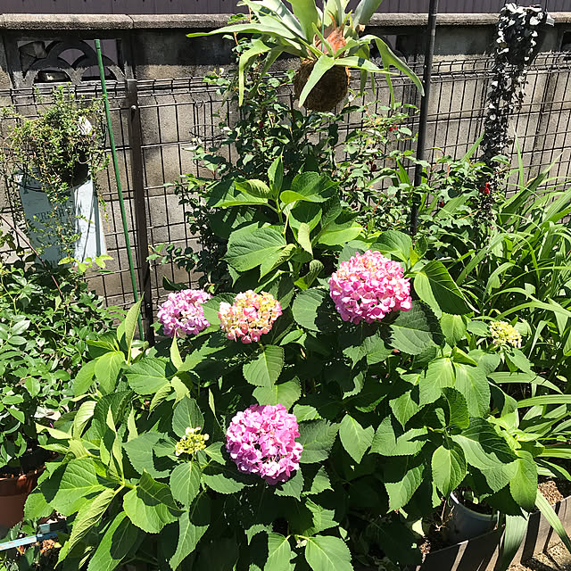 izumi594422tetptさんの実例写真
