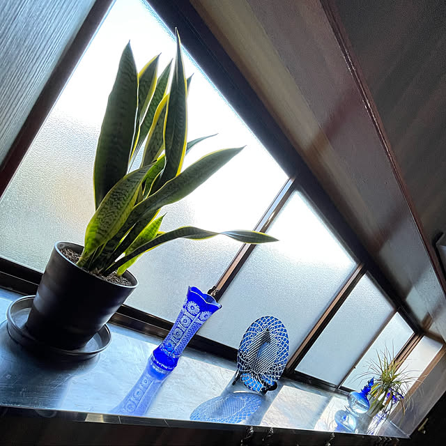キッチン窓際/花瓶/観葉植物/切子/和風モダン...などのインテリア実例 - 2022-02-25 11:40:25