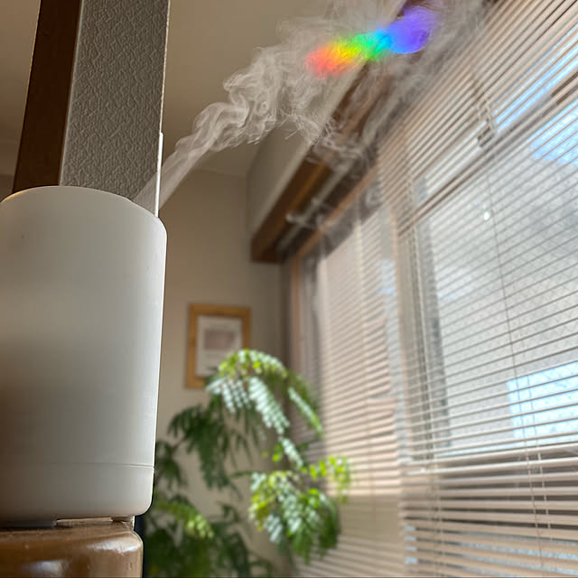 cottoncottonさんの実例写真