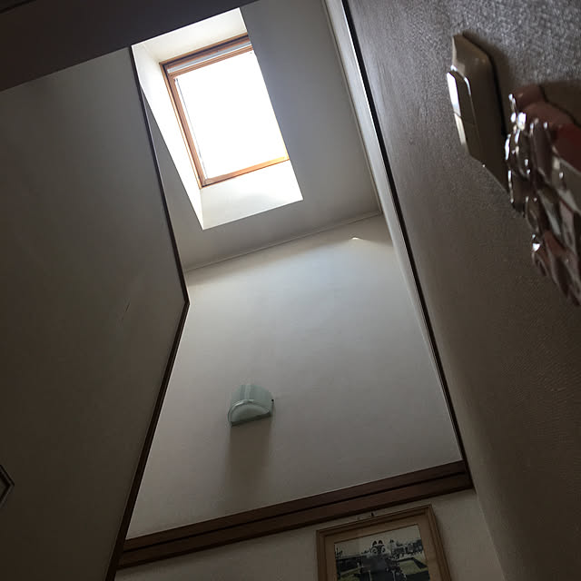 chIoeさんの実例写真