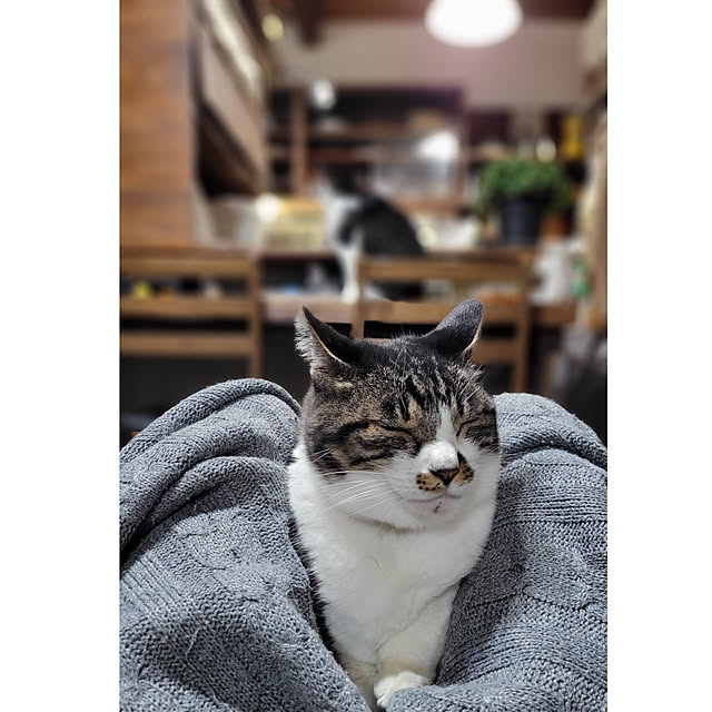 yukiさんの実例写真