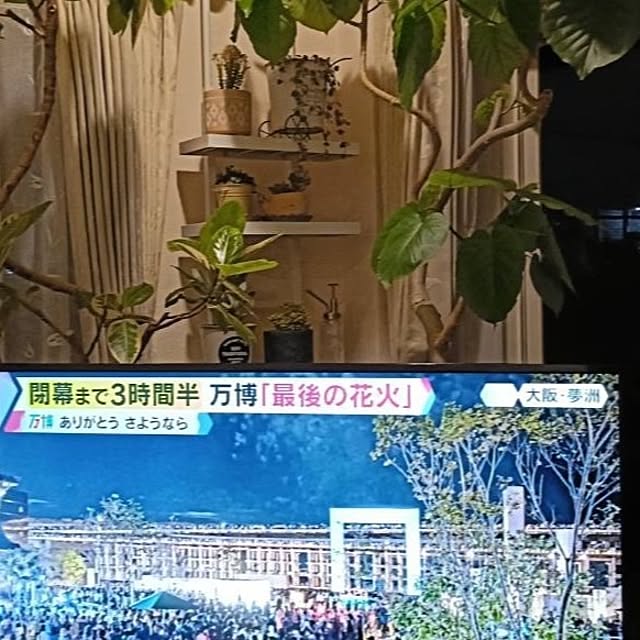 annaさんの部屋