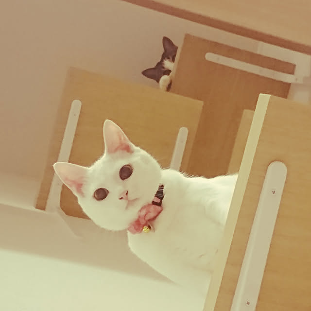 karenさんの実例写真