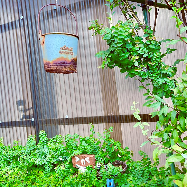 takakoさんの実例写真