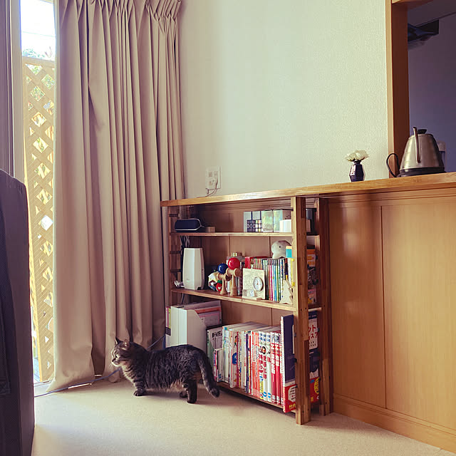 nocomomさんの部屋