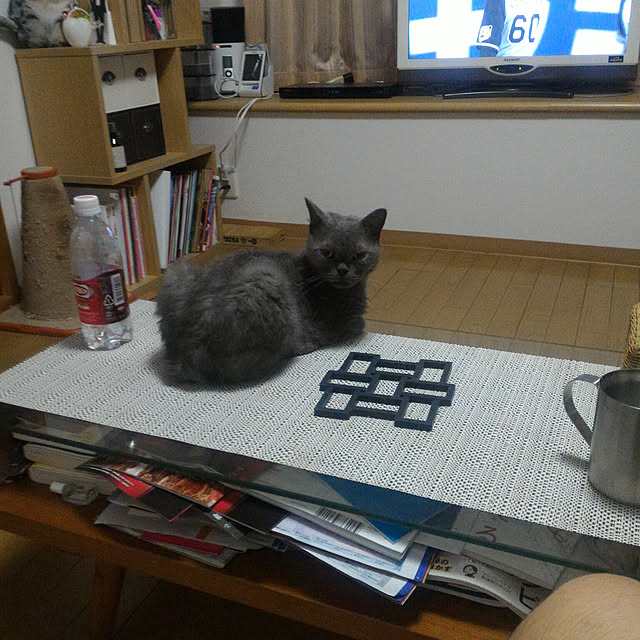 yuu6365さんの実例写真