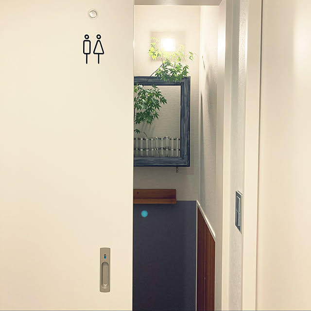 colorerさんの実例写真