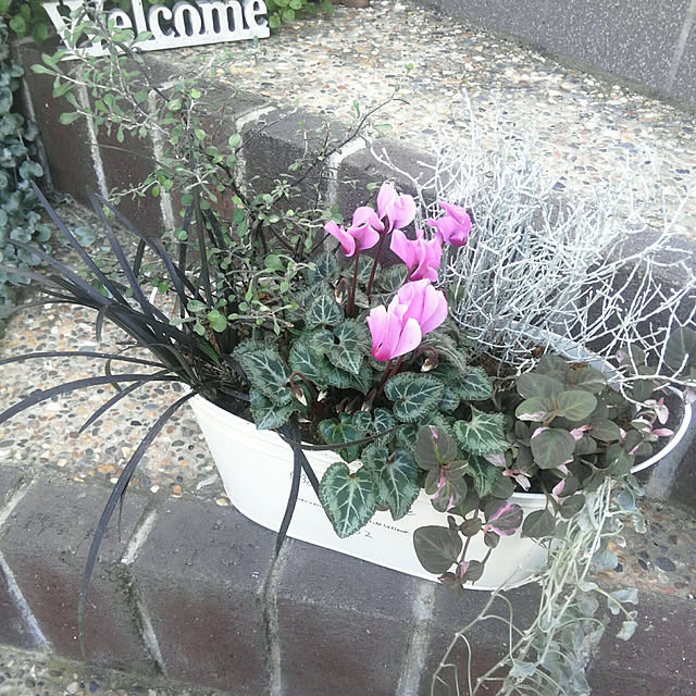 yuu0489さんの実例写真