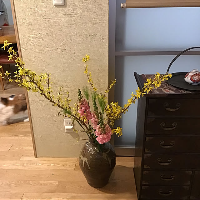 nanaさんの実例写真