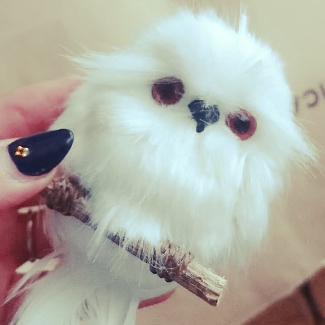 yuukiさんの実例写真