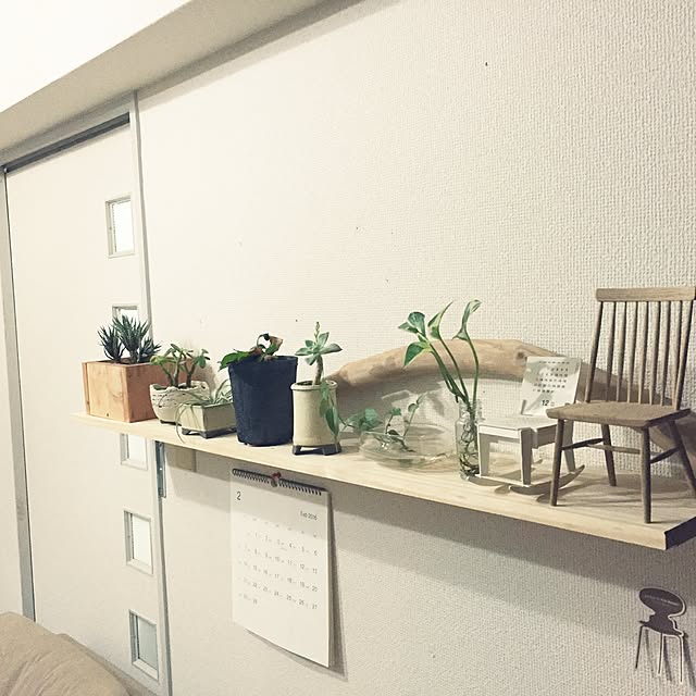 棚/観葉植物のインテリア実例 - 2016-02-11 19:36:53