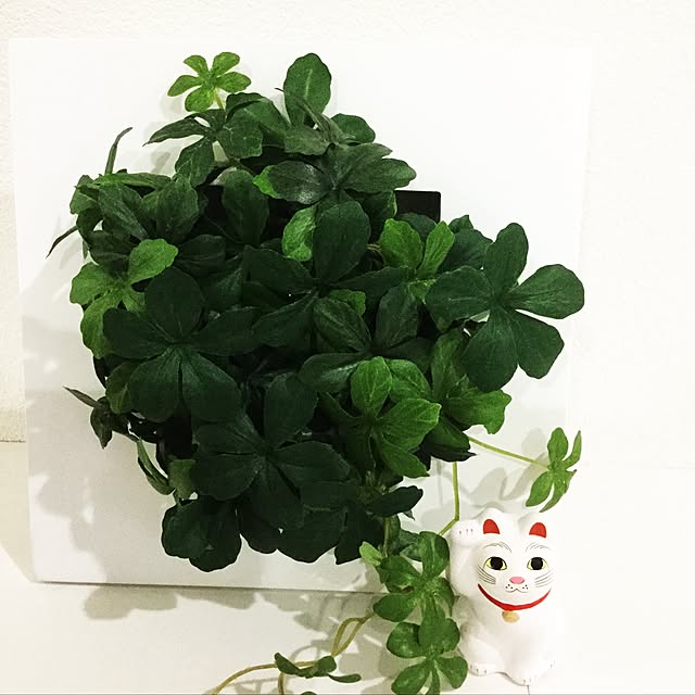 noaさんの実例写真