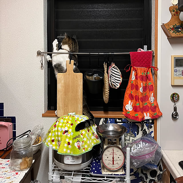 jijiさんの実例写真