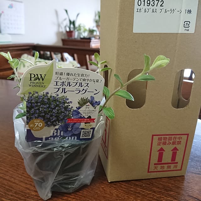 hopkeiさんの実例写真