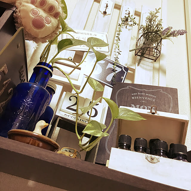 Nanaさんの実例写真