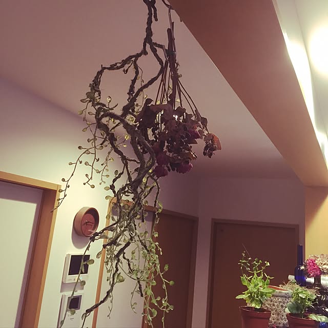 hanahanaさんの実例写真
