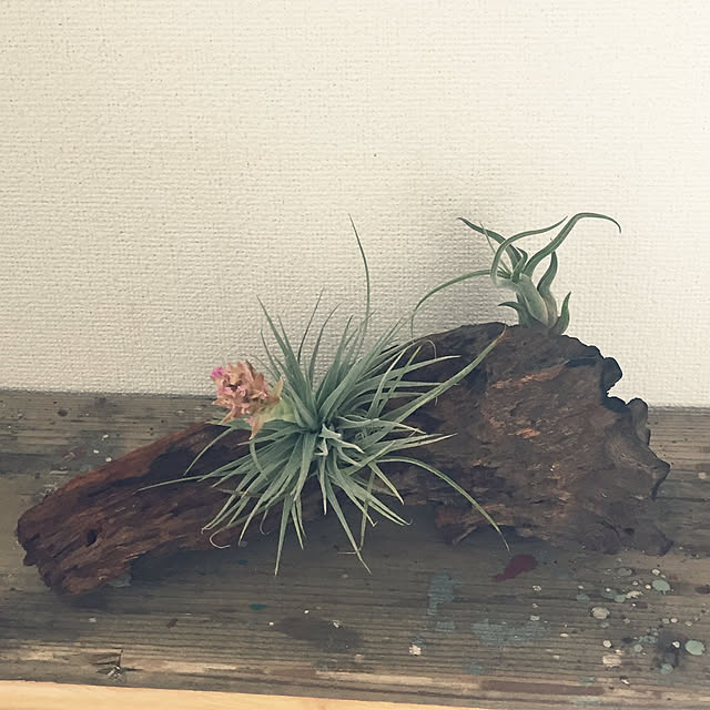 hamasakitakahiro1224さんの実例写真
