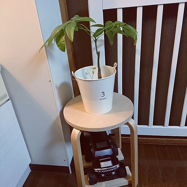aiさんの実例写真
